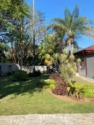 a yard with palm trees and a house at Divine Sleep in Bela-Bela