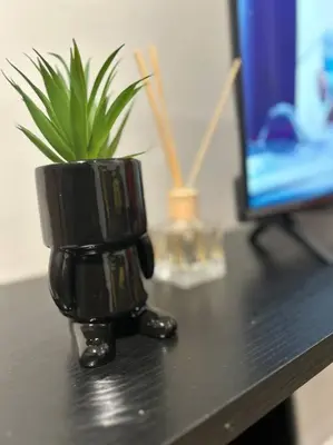 a black vase sitting on a table with a plant at Waterfall Paradise Entire Executive 1 Bed Apt in Midrand