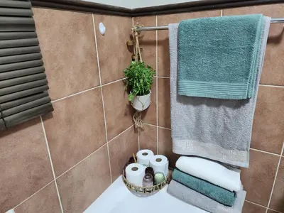 a bathroom with a sink and towels and a plant at Lions Haven in Pretoria