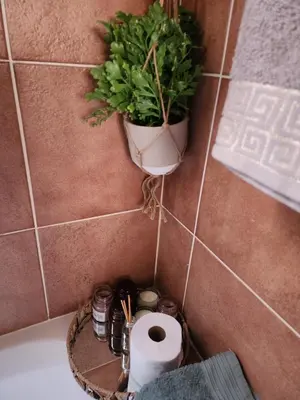 a toilet in a bathroom with a plant on the wall at Lions Haven in Pretoria