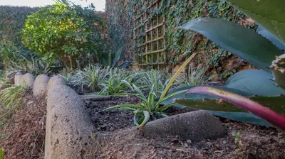 a garden with a stone fence and plants at Stay at Percy Self Catering House in Nelspruit