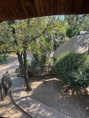 an overhead view of a garden with a tree and a fence at Blue Gum Cottage in Midrand