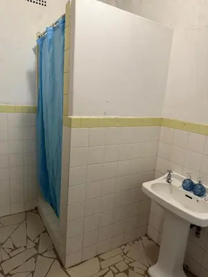 a bathroom with a sink and a shower at Aviation Stay in Kempton Park