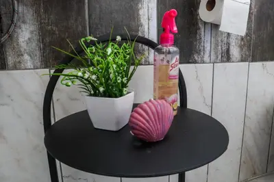 a table with a bottle of alcohol and a plant at Bonnie house in Crocodile Valley Estates
