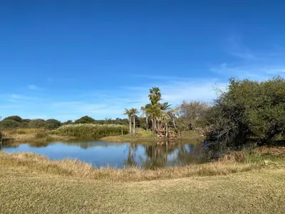 a body of water with palm trees in a field at Pioneer lodge in Lephalale