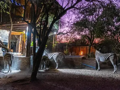 three zebras standing in front of a building at night at Zaganaga Kruger Lodge in Marloth Park