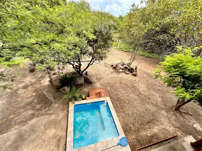 a swimming pool in the middle of a field with trees at Zaganaga Kruger Lodge in Marloth Park