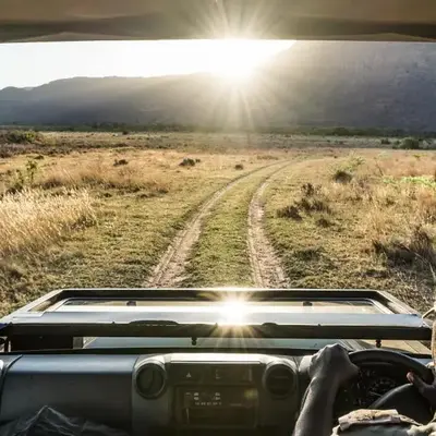 Wildside Safari Camp