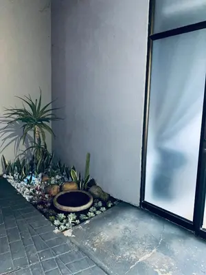 a toilet in the corner of a room with plants at 23 On Jupiter in Polokwane