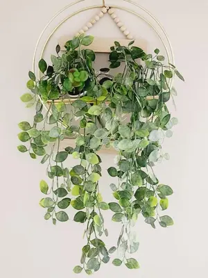 a potted plant hanging on a wall at Sable woods in Pretoria
