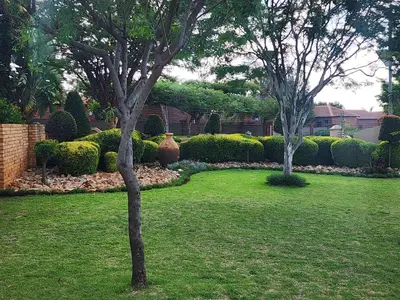 two trees in a yard with grass and bushes at Sable woods in Pretoria