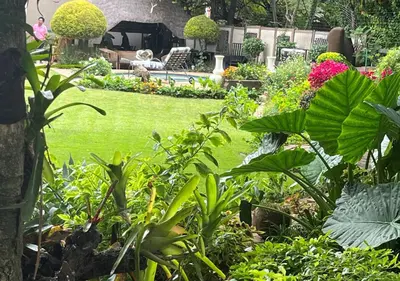 a garden with green grass and flowers and a park at The Giraffe Room at Frederick's Place in Pretoria