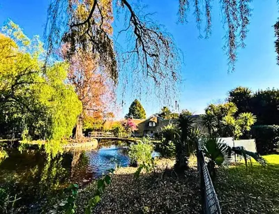 a pond in a park with a bridge and trees at Wood Valley in Midrand