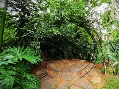 an entrance to a garden with an archway at Loerie's Nest in Pretoria