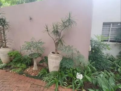 a group of plants in pots next to a building at Loerie's Nest in Pretoria