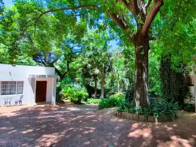 a large tree in front of a white building at Loerie's Nest in Pretoria