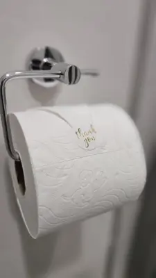 a roll of white toilet paper in a holder at Lizzy's Residence in Midrand