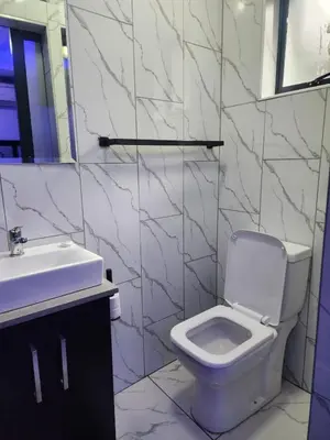a bathroom with a white toilet and a sink at Duplessis Lodge in Kempton Park