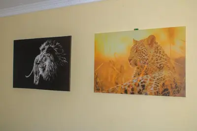two pictures of a leopard and a lion on a wall at Vuyani Guest Lodge in Malamulele