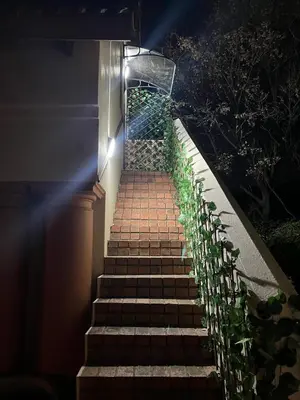 a set of stairs with plants on them at night at Rose Loft in Centurion