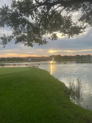 a view of a river at sunset with a tree at Rose Loft in Centurion