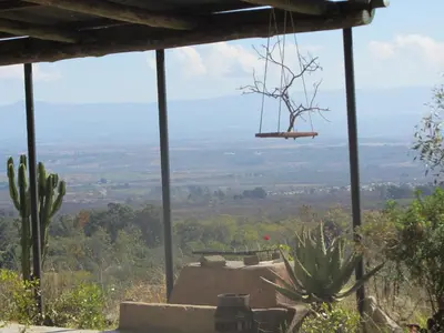 a view from the porch of a house with cactus at Bushwhacked Barberton in Barberton