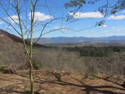 a view from the top of a hill with a tree at Bushwhacked Barberton in Barberton