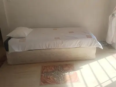 a bedroom with a bed with a starfish on the floor at 41onLeo in Eersbewoond
