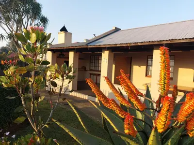 a building with orange flowers in front of it at Graskop Cottage in Graskop