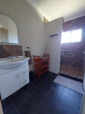 a bathroom with a sink and a shower at Graskop Cottage in Graskop