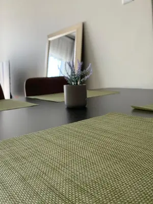 a room with a table with a potted plant on it at Umunlád Suites in Midrand