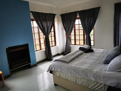 a bedroom with a bed and two windows and a fireplace at Troutmere in Belfast
