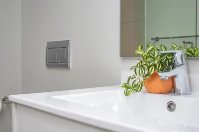 a bathroom sink with a potted plant on it at Exclusive Apartment, Ellipse in Midrand