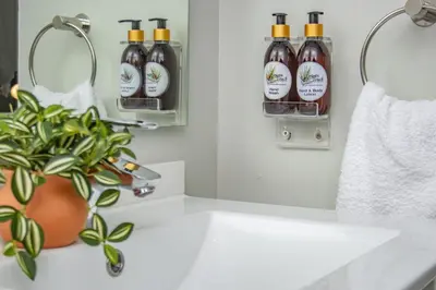 a bathroom with a sink and a plant on a counter at Exclusive Apartment, Ellipse in Midrand