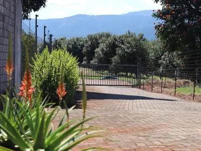 a driveway with a fence and some plants at Levubu Junction Lodge in Louis Trichardt