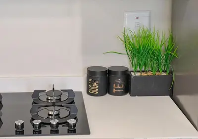 a kitchen counter with a stove and some plants at Zalari Luxe 93 on New, Carlswald, Midrand in Midrand