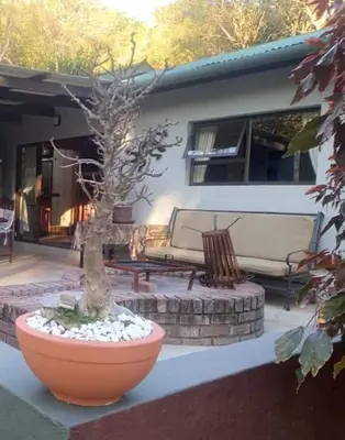 a patio with two couches and a tree in a pot at Heavenly Hideaway Accommodation in Kampersrus AH