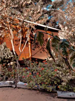 a model of a house with a garden of flowers at Die Boskombuis en Gastehuis in Rayton