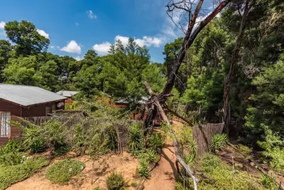 a tree that has been uprooted in front of a house at Die Boskombuis en Gastehuis in Rayton