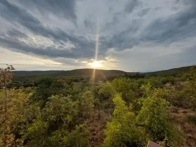 an image of the sun setting over the forest at Zomoya Game Farm in Vaalwater