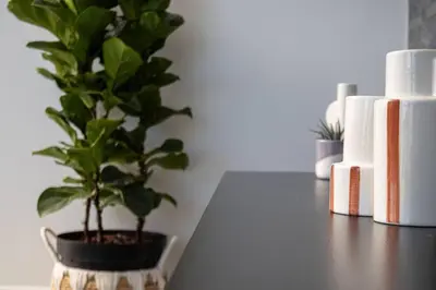 a plant sitting on a table next to books at Modern Luxury Apartment, Ellipse in Midrand