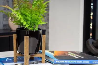a plant in a black vase sitting on a table at Modern Luxury Apartment, Ellipse in Midrand