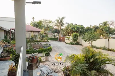 a view of a courtyard with plants and trees at Sunpalm Guesthouse in Nelspruit