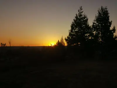 a sunset in a field with trees in the foreground at Cozy Cabin in Dullstroom