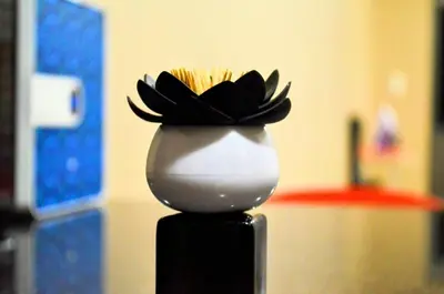 a black and white vase with noddles in it at Oasis Home in Midrand