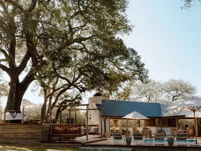 a resort with a pool and chairs and a tree at Leopard's Bend Bush Lodge in Hoedspruit