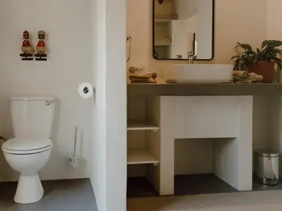 a bathroom with a sink and a toilet and a mirror at Leopard's Bend Bush Lodge in Hoedspruit