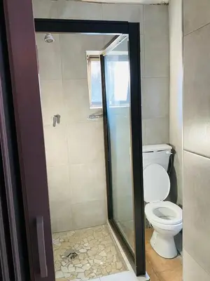 a bathroom with a shower and a toilet at Nteto guesthouse in Dwarsloop