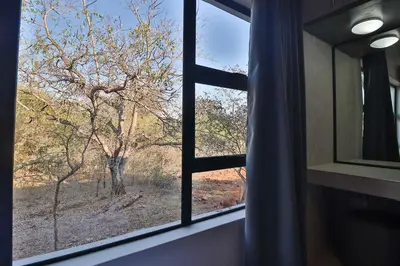 a window with a view of a tree at Kruger Stories at Marloth in Marloth Park