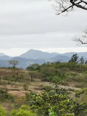 a view of a field with mountains in the background at Hardy-da Forest Cottage in White River